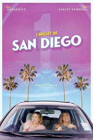 1 Night In San Diego