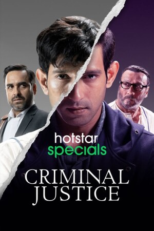 Criminal Justice (Complete)