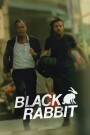 Black Rabbit (S01 Complete)